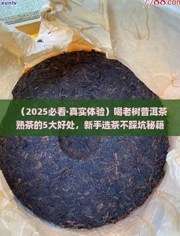 喝老树普洱茶熟茶的好处