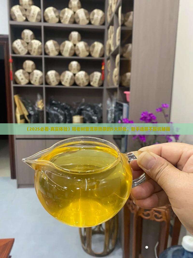 喝老树普洱茶熟茶的好处