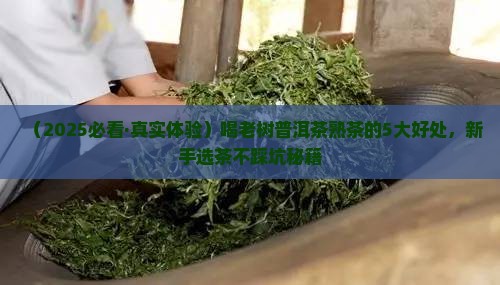 喝老树普洱茶熟茶的好处