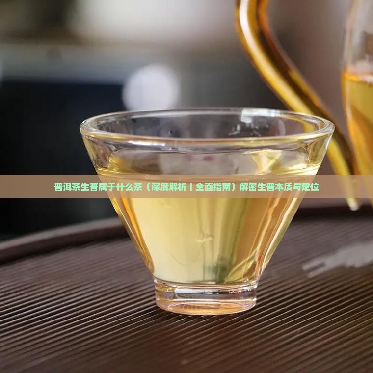 普洱茶生普属于什么茶