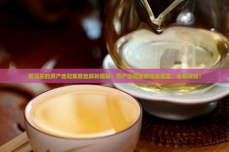 普洱茶的原产地和集散地