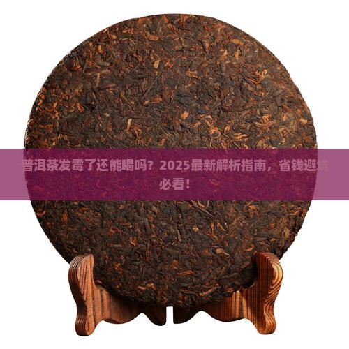 普洱茶发霉能不能使用