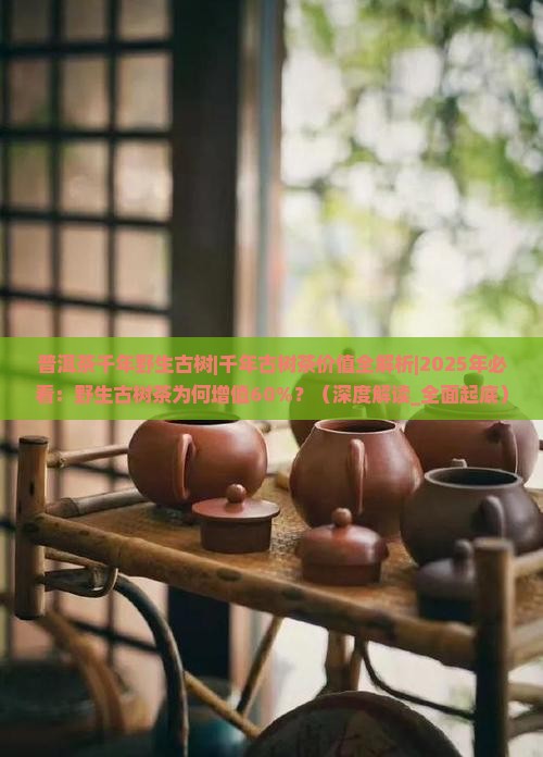 普洱茶千年野生古树 普洱茶千年野生古树