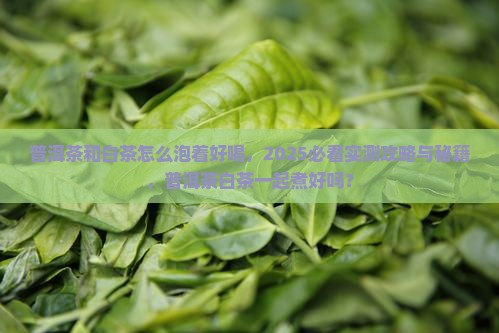 普洱茶和白茶怎么泡着好