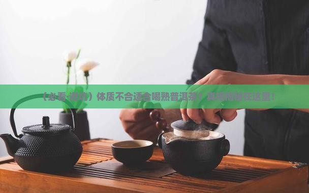 什么体质适合喝熟普洱茶