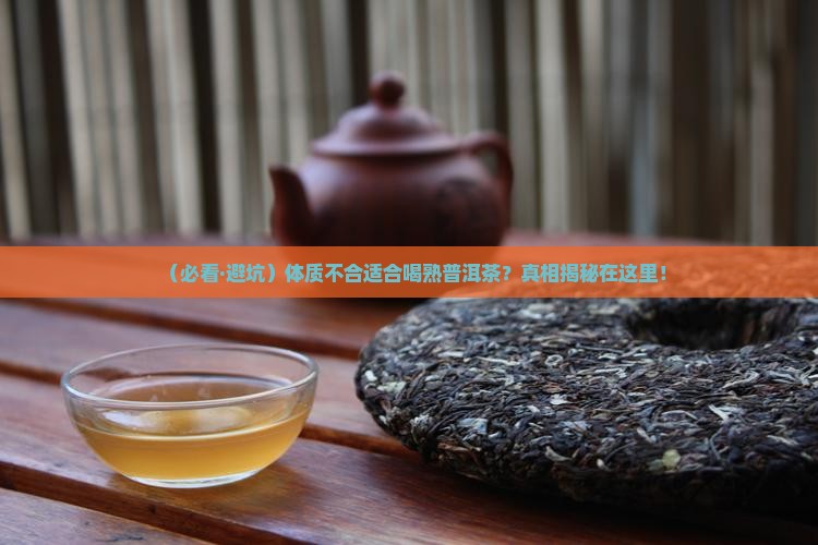 什么体质适合喝熟普洱茶