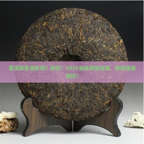 普洱茶受潮发霉
