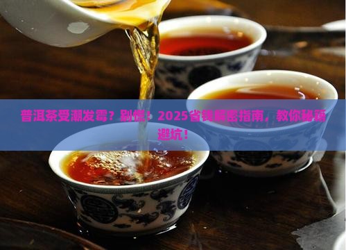 普洱茶受潮发霉