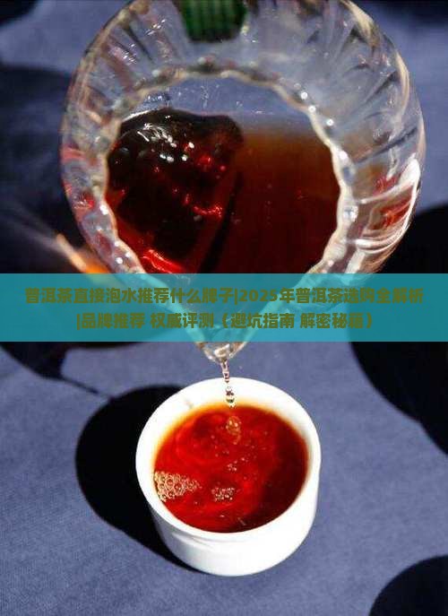 普洱茶直接泡水推荐什么牌子