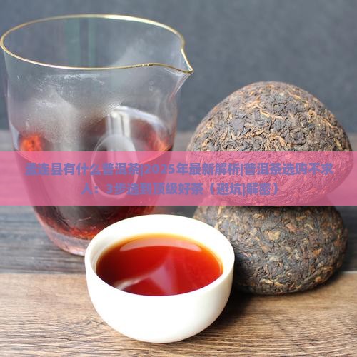 孟连县有什么普洱茶