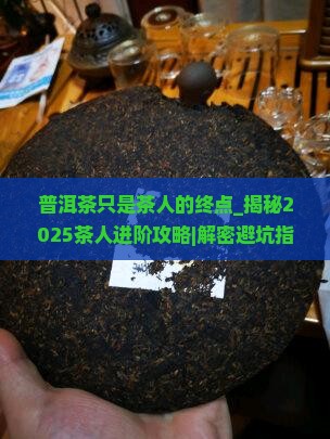 普洱茶只是茶人的终点