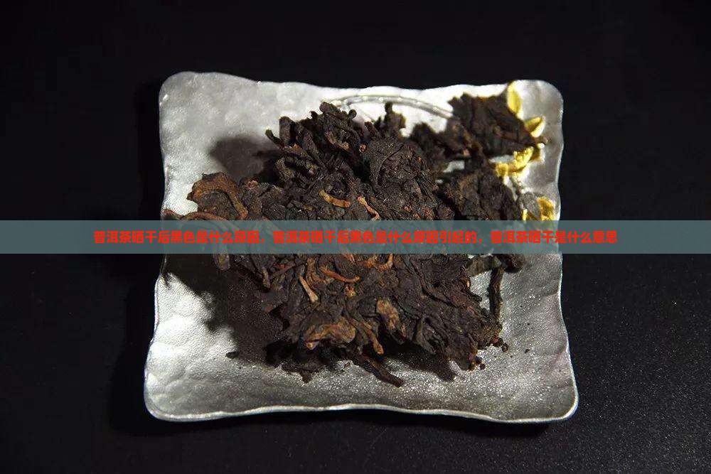 普洱茶晒干后黑色是什么原因