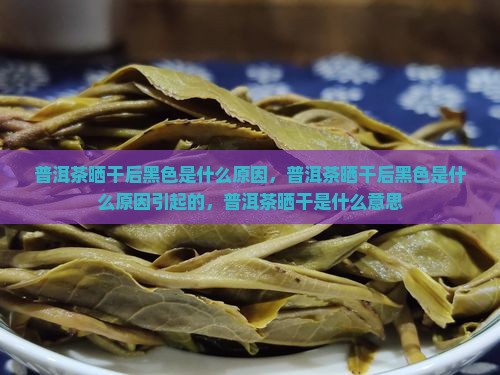 普洱茶晒干后黑色是什么原因