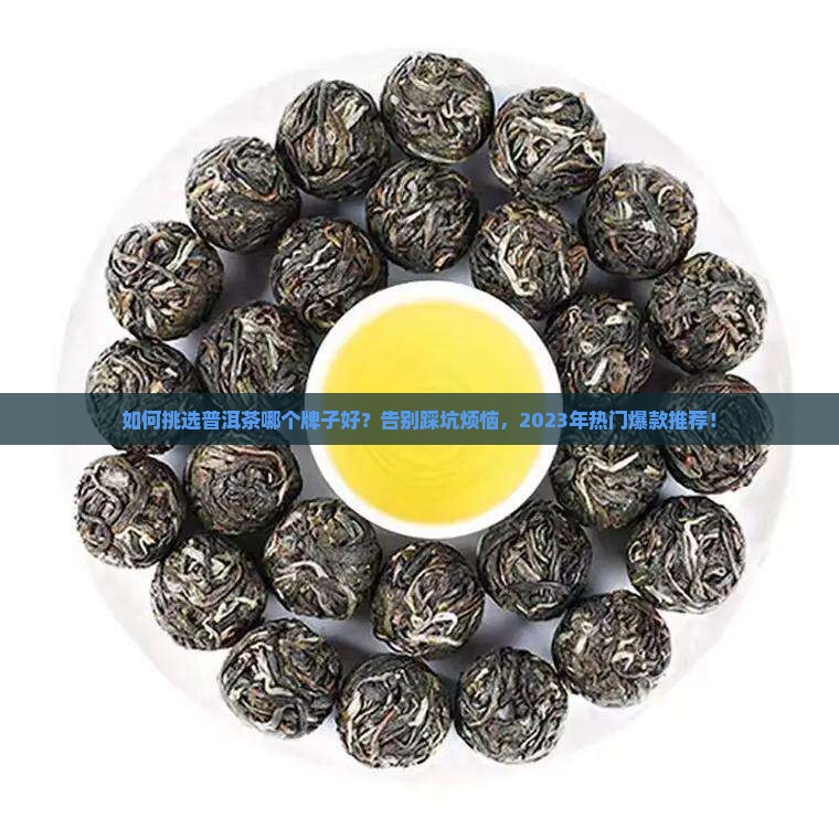 如何挑选普洱茶哪个牌子好