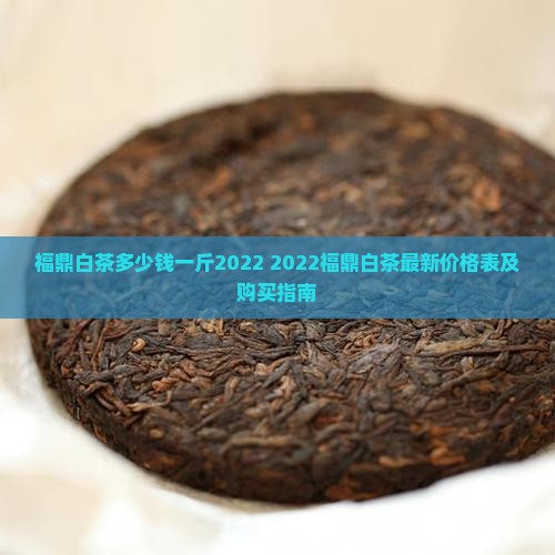 福鼎白茶多少钱一斤2022
