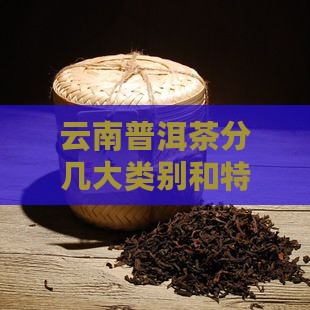 云南普洱茶分几大类别