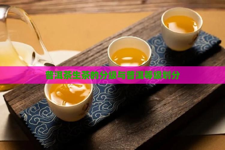 普洱茶生茶的分级