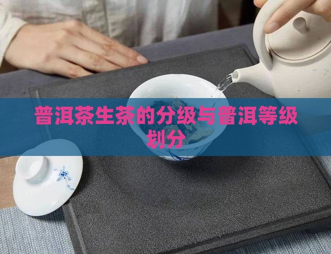 普洱茶生茶的分级