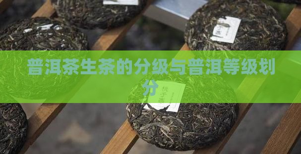 普洱茶生茶的分级
