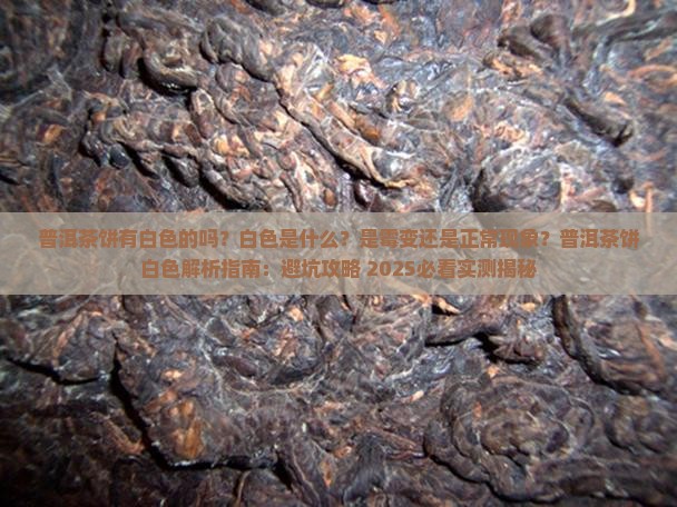 普洱茶饼有白色的吗