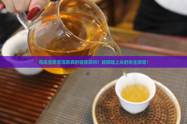 尊品皇家普洱茶
