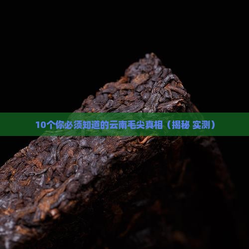 云南毛尖属于什么茶