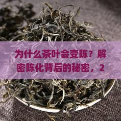 什么是使茶叶变陈的因素