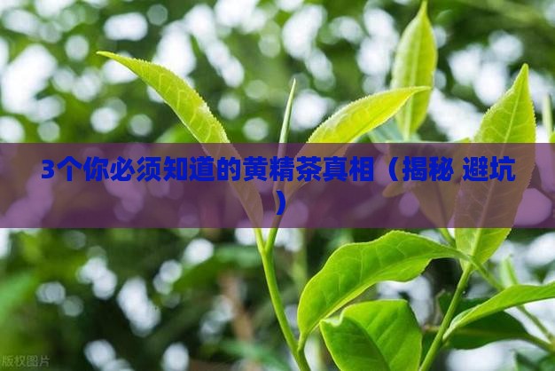 黄精茶的功效与作用禁忌