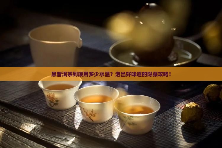黑普洱茶用多少水温