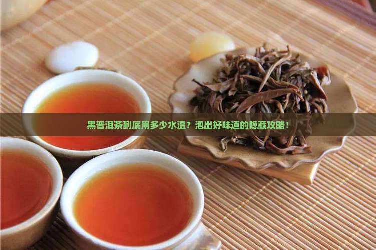黑普洱茶用多少水温