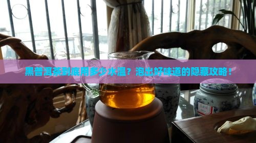 黑普洱茶用多少水温