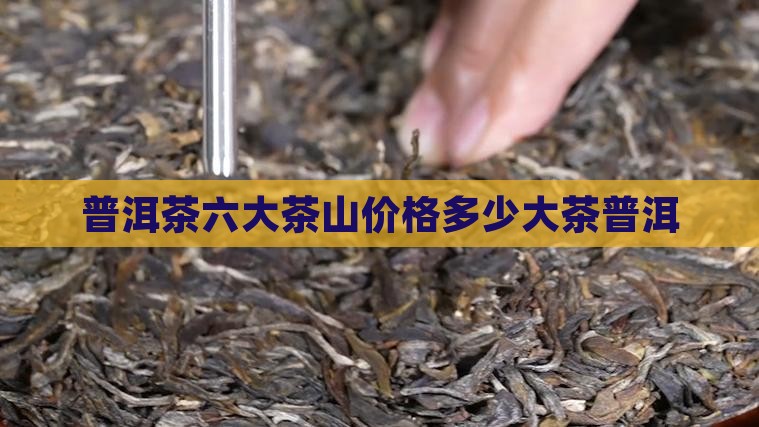 普洱茶新六大茶山价格是多少