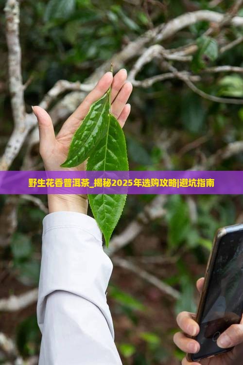 野生花香普洱茶