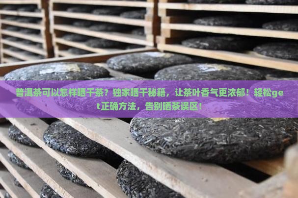 普洱茶可以怎样晒干茶