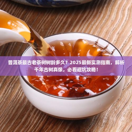普洱茶最古老茶树树龄多久