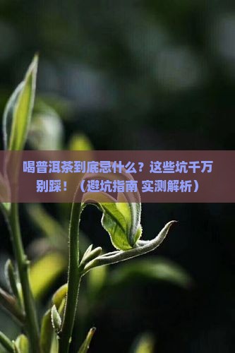 喝普洱茶忌什么