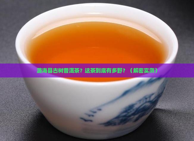 潞海县古树普洱茶