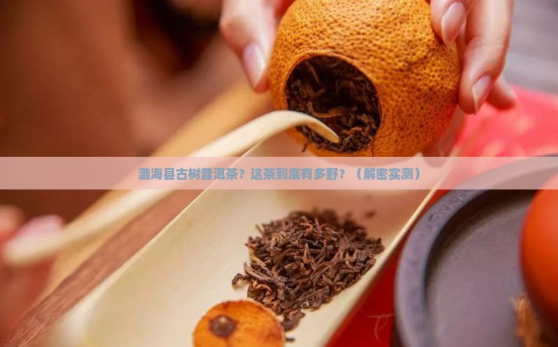 潞海县古树普洱茶