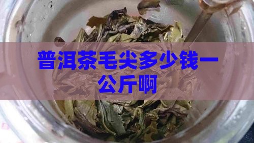 普洱茶毛尖多少钱一公斤