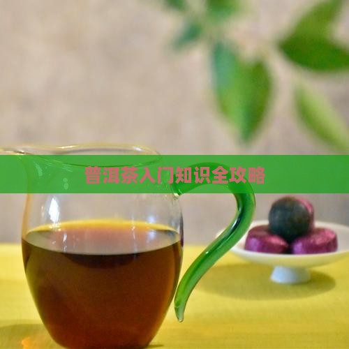 普洱茶入门必知识