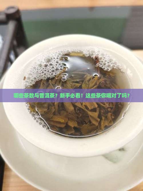 哪些茶数与普洱茶