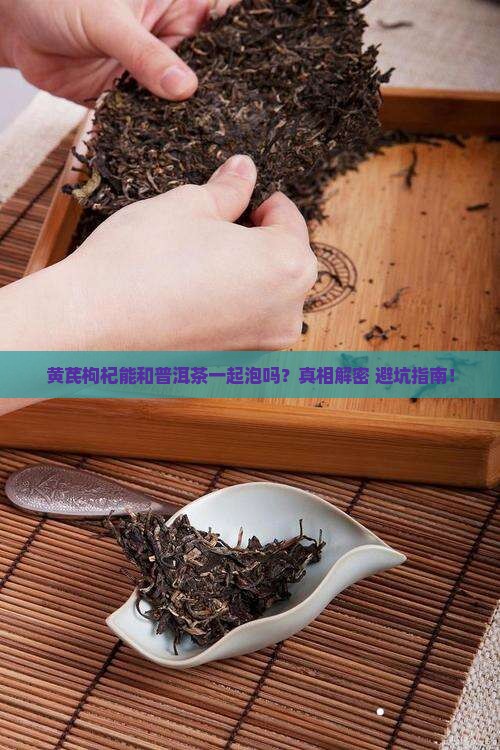 黄芪枸杞喝普洱茶能一起泡吗