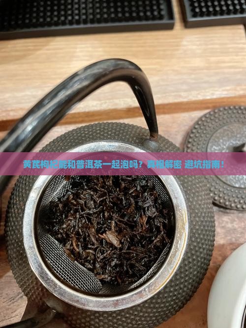 黄芪枸杞喝普洱茶能一起泡吗