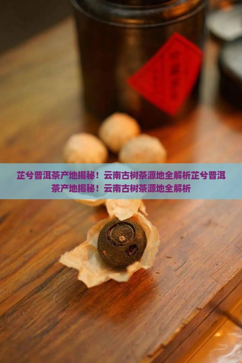 芷兮普洱茶产地