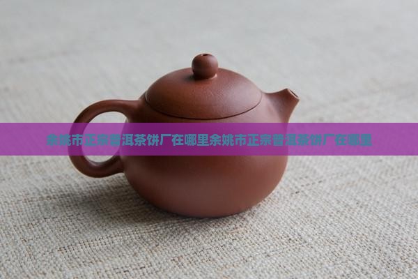 余姚市正宗普洱茶饼厂在哪里