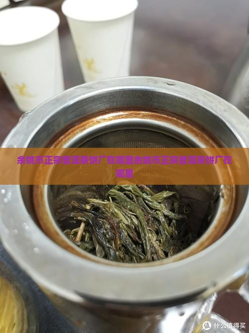 余姚市正宗普洱茶饼厂在哪里