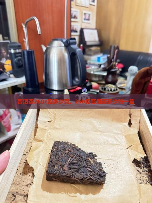 普洱茶260c泡多少克