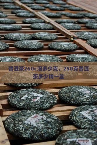 普洱茶260c泡多少克