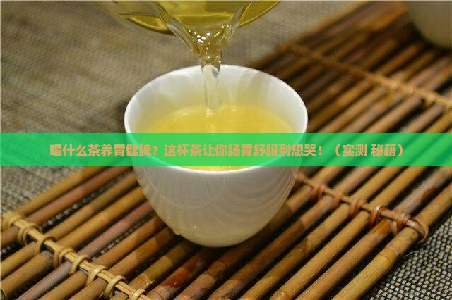 喝什么茶养胃健脾养胃