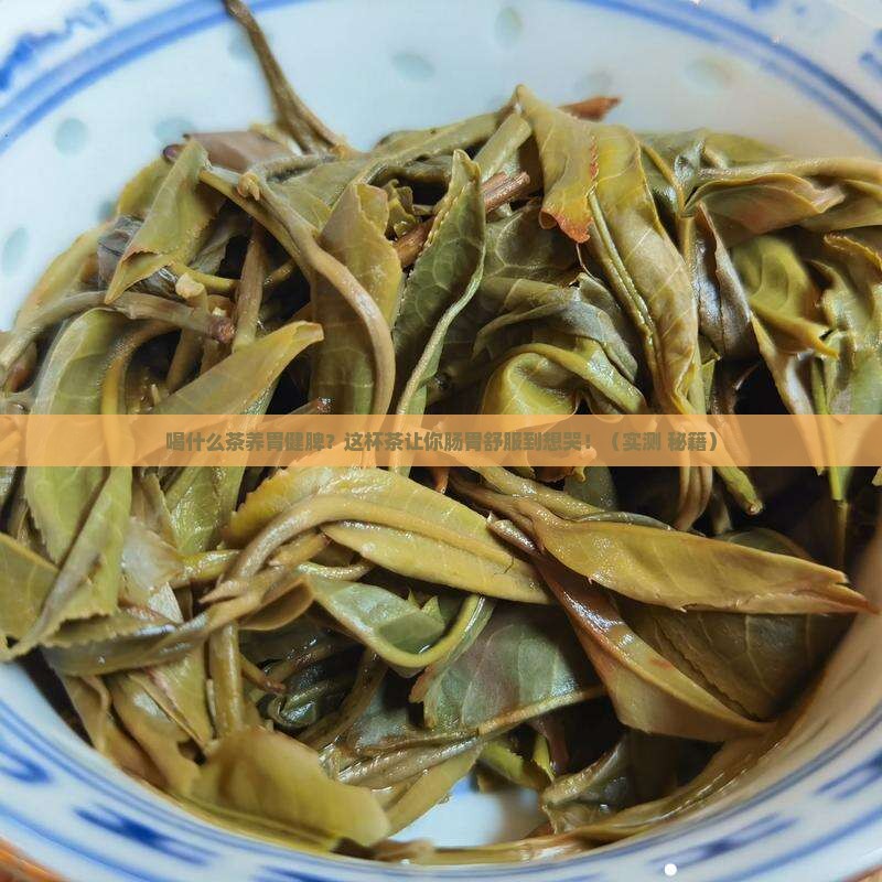 喝什么茶养胃健脾养胃